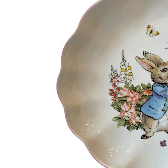 Zrike Beatrix Potter Peter Rabbit OVAL SERVING PLATTER Easter 14" Pink Edge NEW - Picture 14 of 16